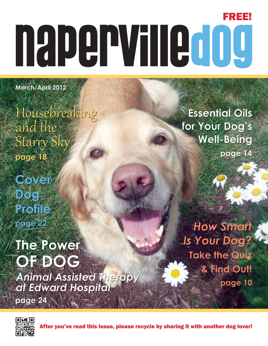 Naperville Dog March/April 2012 Front Cover