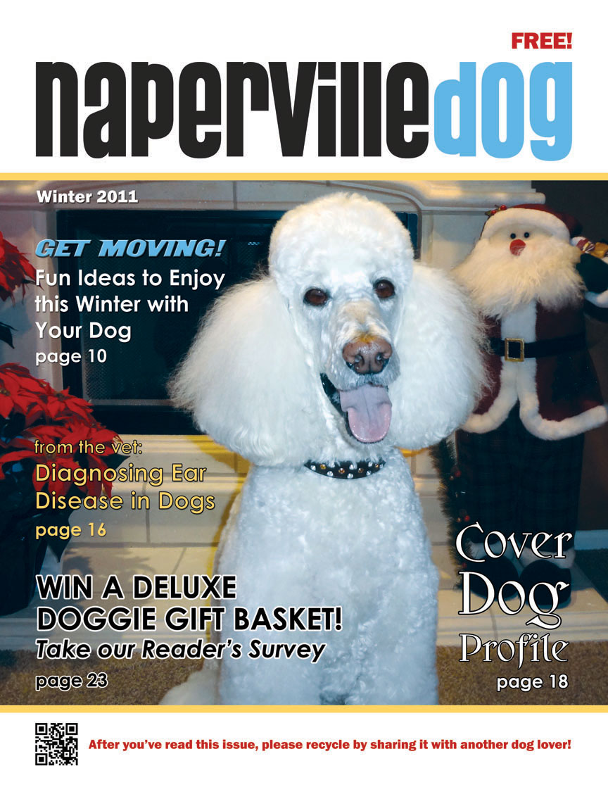 Naperville Dog magazine November 2011 Front Cover